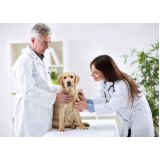 laboratorio analises clinicas veterinaria Parque Continental