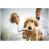 marcar exames laboratoriais de cachorro Morro Caneleira