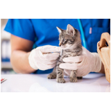 onde fazer sorologia para gatos Conjunto Residencial Humaitá