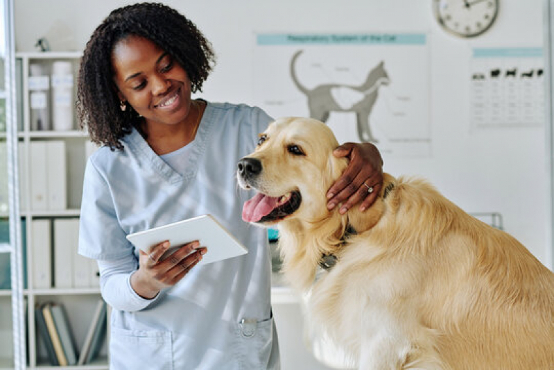 Ultrassom Veterinário Odontológico Samarita - Ultrassom Abdominal para Cachorros